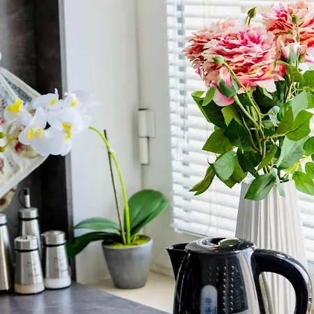 Cozy 1-bedroom Flat In The Very Center Of Lejlighed