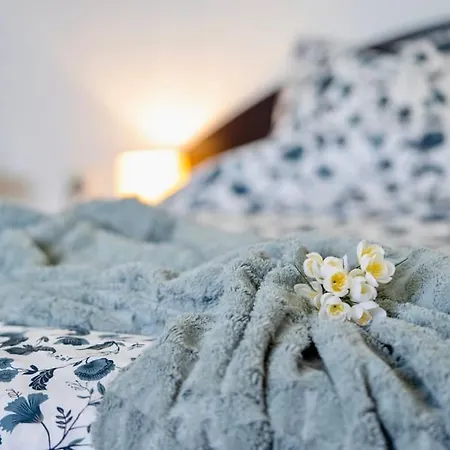 Cozy 1-bedroom Flat In The Very Center Of Lejlighed Sofia