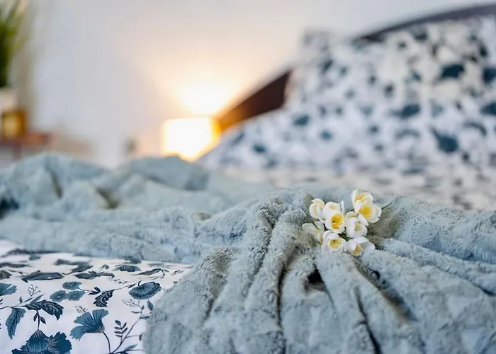 Cozy 1-bedroom Flat In The Very Center Of Lejlighed Sofia